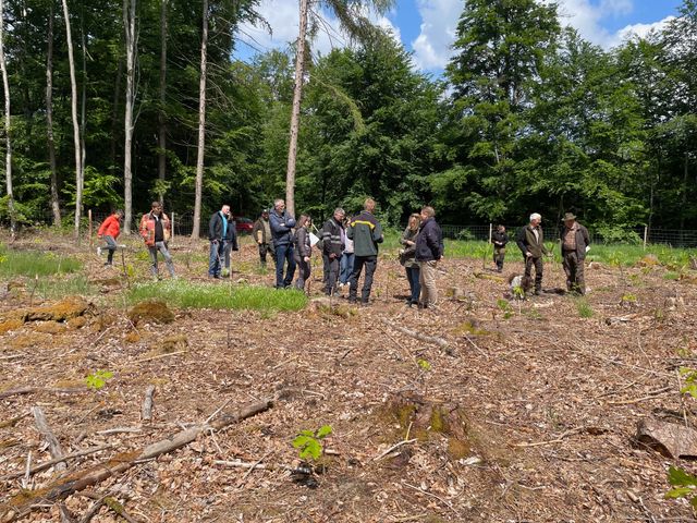 Mit dem Ausschuss Umwelt und Forsten im Wald