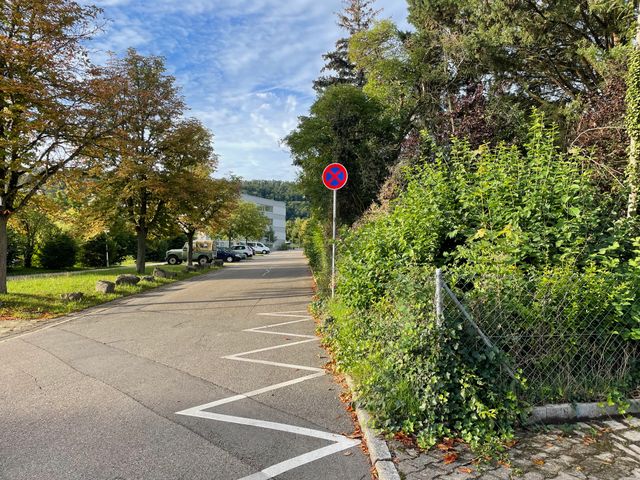 Der Schulweg im Herbst