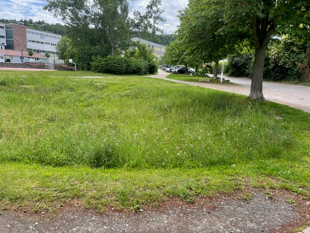 Mähfreier Mai