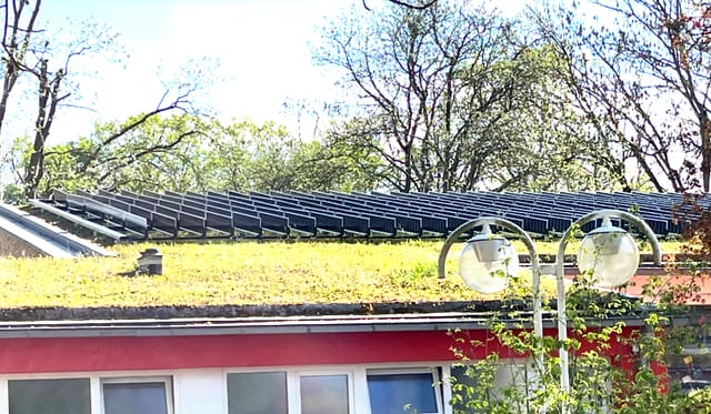 Senkrecht stehende Solarmodule auf dem Gründach der Breitwiesenschule 